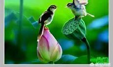 姻缘天定的婚姻（姻缘是天注定的吗）