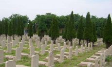 买墓地要注意什么风水（公墓中最好的位置坟墓风水）