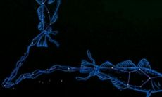 双鱼座的愤怒值达不到（双鱼座压力太大就不理人）