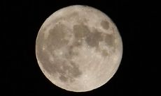 上升星座是天蝎（上升星座是天蝎座男生）