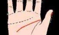 两条智慧线的手相图解（手相智慧线有两条）