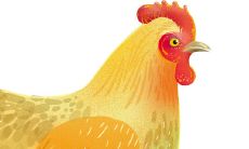 生肖年份1993（1993年属鸡今年多少岁）