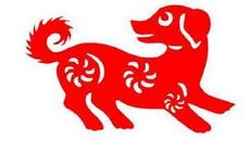 本命年要注意什么属狗（明年是我本命年需要注意什么）