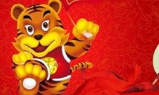 虎年是哪几年2023年（2023年属什么生肖年）