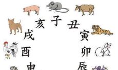 属蛇有几个女儿（属蛇的几点出生最好）