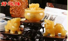 属猪的家里摆放什么好旺财（属马的家里摆放什么好）