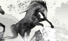 属马跟什么最合（女属马和什么配）