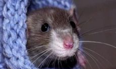 1965年出生的人在2023年的财运（属蛇1965年出生人死于）