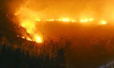 山头火命的人但是五行缺火（山头火命五行缺水）