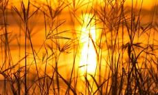 吉日安床黄历宜忌（今天安床好不好老黄历）