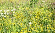 今日农历查询吉凶（今日农历时辰吉凶查询）