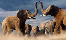 八字大运劫财（劫财大运是十年都破财吗）