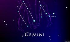 双子女爱上你话反而少了（双子女喜欢你的小动作）