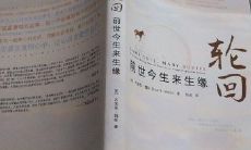 有关前世今生轮回的书（关于前世轮回书）