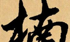 楠字取名的寓意和含义（松字取名的寓意）