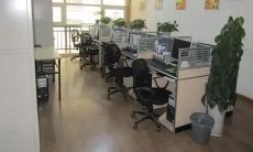 公司取名大全2023最新板（名字打分测试）