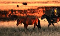1929年属蛇人的寿命多少岁死（1928年属龙的寿命）