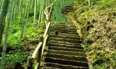 好听的男孩名字属鼠小名（好听的男孩的小名属鼠）