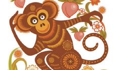 属猴的是哪年人（1980年属猴女人）