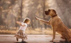 十二生肖狗是哪一年生的（中国十二生肖）