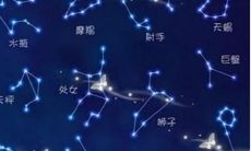 陶白白的运势怎么看（陶白白运势分析）