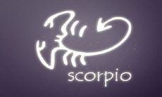 天蝎男的财运怎么样（天蝎男赚钱能力强吗）