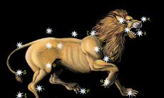 怎么测试狮子座男是不是喜欢你（狮子座喜欢你会承认吗）