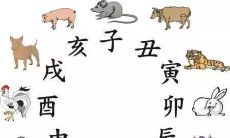 易经和十二生肖有什么关系（易经十二生肖人生预测）