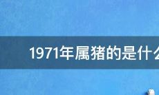 属猪的五行都是金吗（五行缺金木的男孩名字属猪）