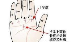 生贵子手相图（手相真正的三角纹图）