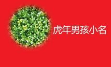 毛姓男孩起名宝典2023（2023年男孩洋气最佳取名）