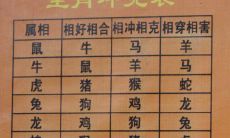 属马和属羊的婚姻如何（属羊和属马的婚姻怎么样）