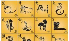 按照属相怎么算年龄（说属相怎么知道年龄）