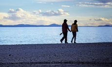 天秤座被什么星座吃透（吃定天秤座的星座）