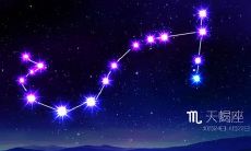 最拥有神性的三个星座（12星座谁最丑）