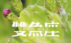 如何制服双鱼座女生（怎么掰弯双鱼座女生）