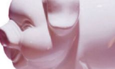 83属猪幸运色（1983年属猪的幸运数字）