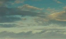 备孕做梦梦到蛇怪兽（梦见蛇后面就怀孕了）