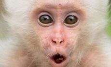 92属猴什么命男的（1992年属猴男性格）