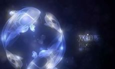 双鱼座男会和前任在一起吗（狮子座女和双鱼座男配吗）