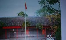 72年属鼠2023年退休金拿多少（72属鼠50岁大运2023）