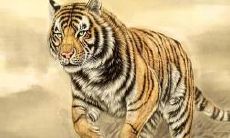 属牛的今年本命年多大2023（97年属牛本命年可以结婚吗）