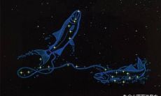 怎样和双鱼座女生谈恋爱（和双鱼座女生谈恋爱）