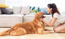 摩羯座长大后有没有钱（天蝎座长大后有没有钱）