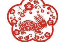 生肖兔今年几岁了（属兔是哪年出生的）