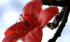 给一幅画取名字大全（算命免费解梦大全）