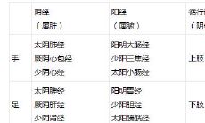 以星宿命名的经络有哪些（二十八星宿命名的城市）