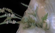 祝自己本命年一切顺心顺意（本命年有什么讲究）