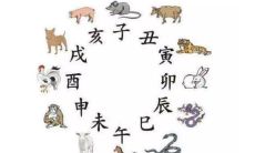 生辰属相对照表（每个时辰的属相）