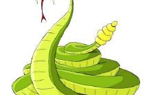 属蛇人一生的劫数年龄（属蛇人32岁大劫）